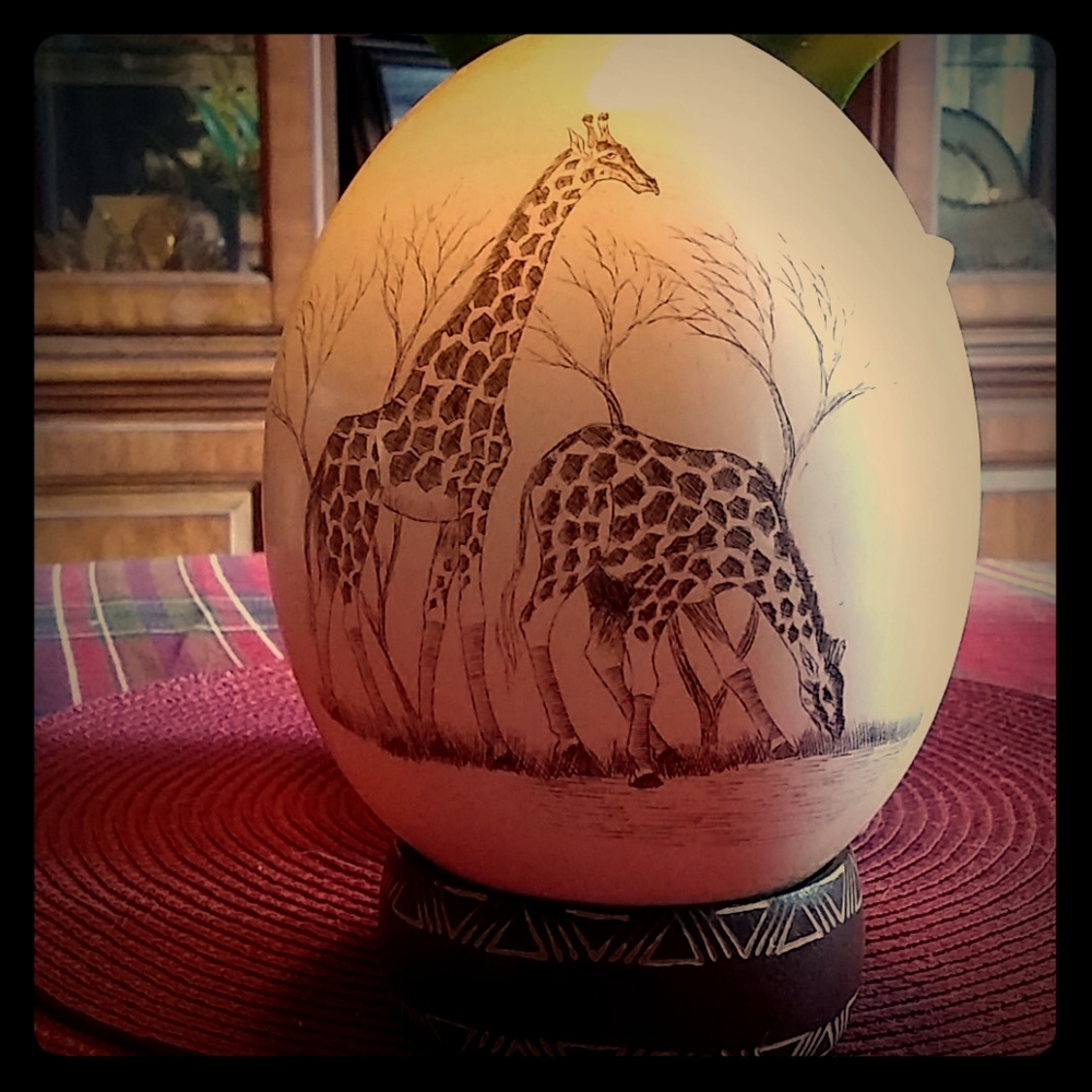 Ostrich egg❤❤❤